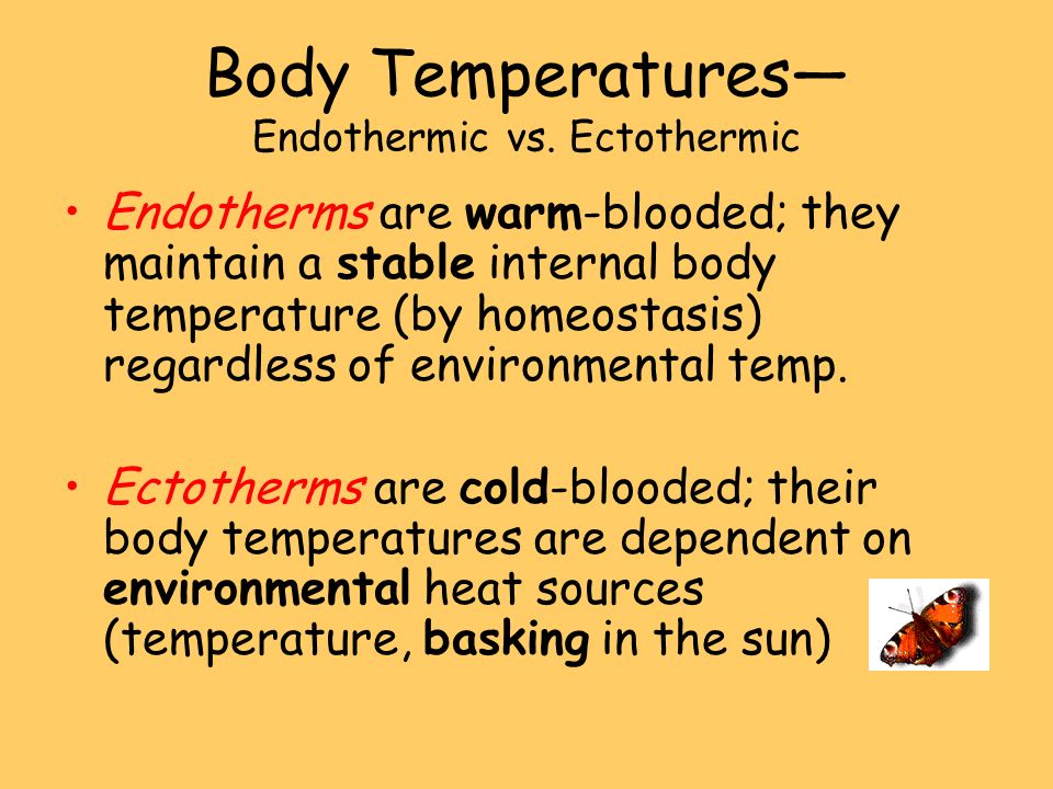Endothermic process